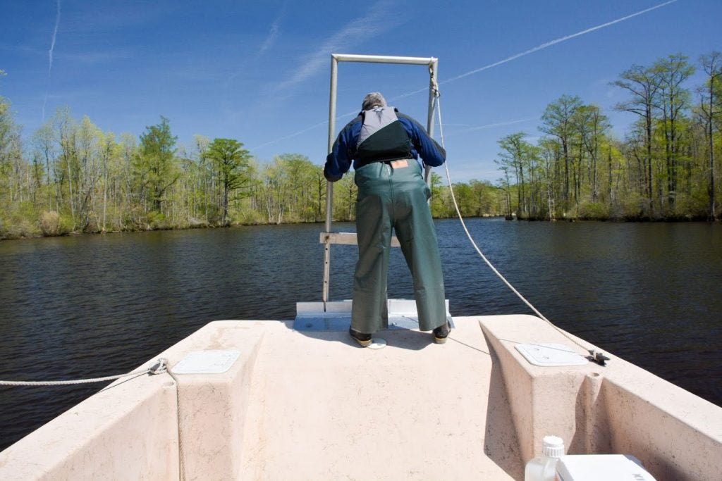 Skimmer rig on Toadfish